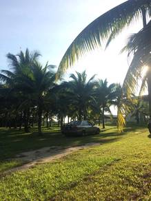 Agricultural-Land-for-sale-Padang-Terap-Kedah