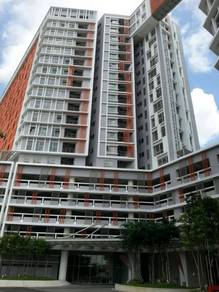Suria Jelutong