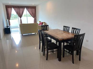 Homelite Eco Park-2