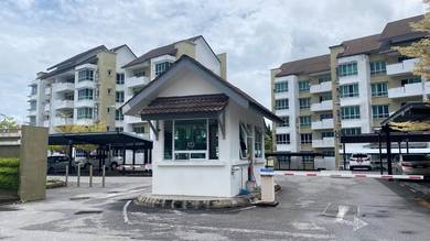 Homelite Eco Park-1