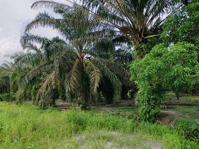 Agricultural-Land-for-sale-Gelang-Patah-Johor