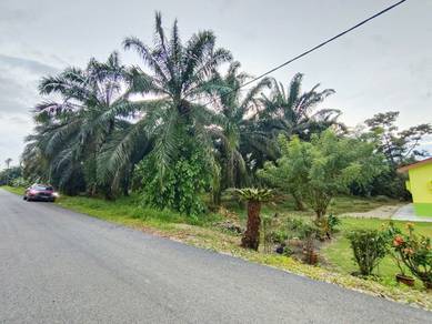 Tanah Lapisan Pertama, Jelutong Laut, Ayer Baloi, Pontian