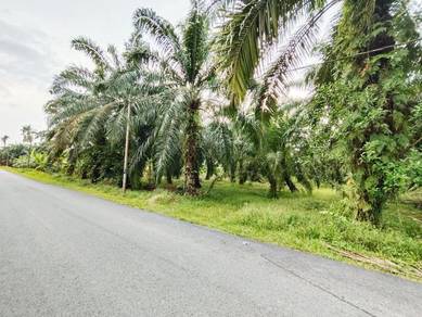 Tanah Lapisan Pertama, Jelutong Laut, Ayer Baloi, Pontian