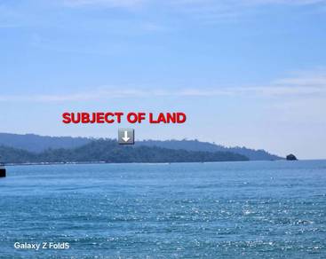 NT 3.22 Acres Land at Pulau Gaya