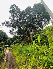 INFRA READY BUMI LOT 2.15 acres Agricultural Land Dengkil