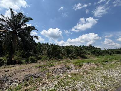 ↔️[MURAH]2 BUNGALOW LOTS FOR SALE | Sungai Tiram