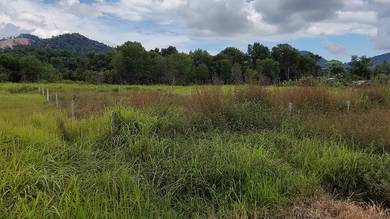 Agricultural-Land-for-rent-Lumut-Perak