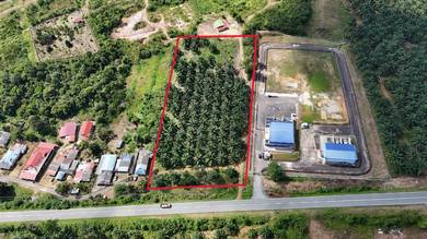 Tanah Kebun Sawit 2.9 ekar Kg Sayang, Sedili Besar (Tepi Jalan Besar)