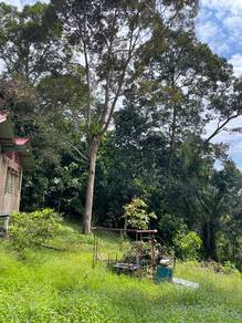Agricultural-Land-for-sale-Dong-Pahang