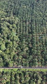 TANAH KEBUN 2 Ekar di Kg Bentong Dalam, Kluang [PALING MURAH]