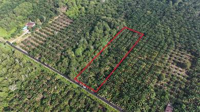 TANAH KEBUN 2 Ekar di Kg Bentong Dalam, Kluang [PALING MURAH]