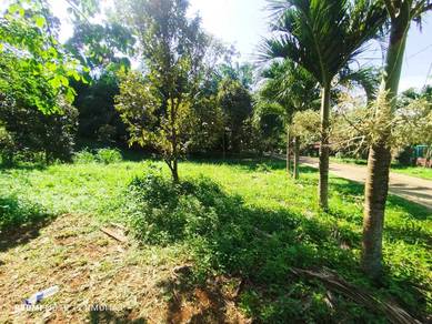 Dusun Freehold Gelang chinchin serta Tiny house cantik