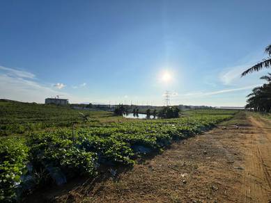 Seelong 10.31 Acre Zoning Industrial Road Side Land near Factory 45psf