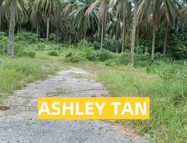 Agricultural-Land-for-rent-Bukit-Mertajam-Penang