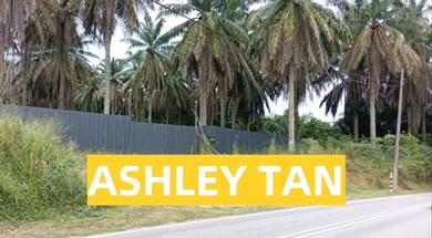 Agricultural-Land-for-rent-Bukit-Mertajam-Penang-1