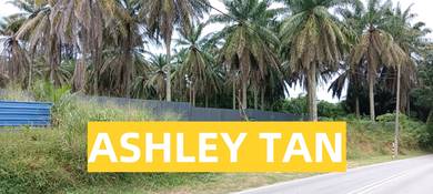 Agricultural-Land-for-rent-Bukit-Mertajam-Penang-2