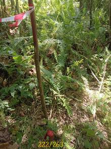 SALE KK Bundusan Residential zoning CL 99 Land (Road reserve) 5227 sf