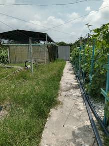 Freehold ! Taiping Rare Land for Sale(Convertible to Housing Land!)