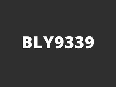 BLY9339