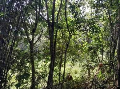 Tanah Kampung di Tampin N9