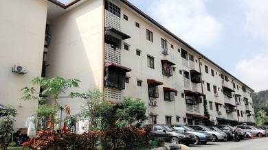 Seri Perindu @ Alam Damai [F/F] Cheras Balakong Connaught EkoCheras