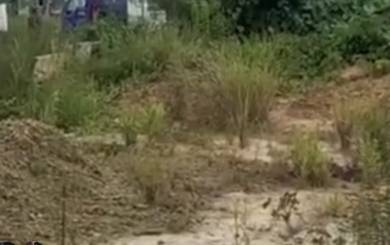 Residential-Land-for-sale-Beaufort-Sabah