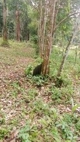 Agricultural-Land-for-sale-Batu-Kurau-Perak-2