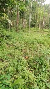 Agricultural-Land-for-sale-Batu-Kurau-Perak-1