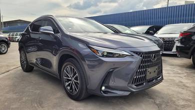 Lexus NX 250 2.5 LUXURY PR 4Cam DIM BSM Unreg