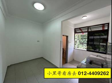 Taman Terubong Jaya|Paya Terubong|Worth Price|New Painting|Greenery