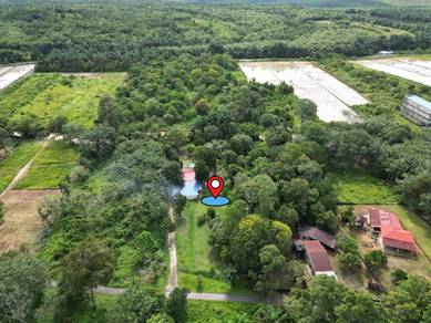 Tanah Pertanian + Sebuah Rumah Untuk Dijual! 📍 Kg Batu Puteh  K