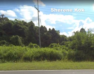 Agricultural Land @ Batu Kawa - Matang Road Moyan 1st Lot