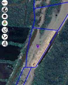 TANAH PERTANIAN TEPI LAUT UNTUK DIJUAL KAMPUNG SG MIANG PEKAN Pahang