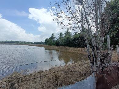 TANAH PERTANIAN UNTUK DIJUAL DI PULAU TAMBUN PEKAN Pahang
