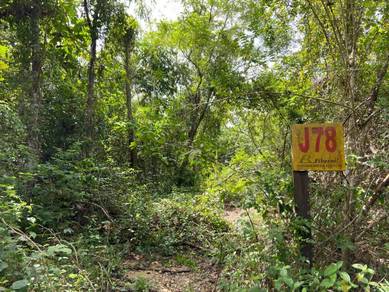 Agriculture Land Ulu Rasa Kuala Kubu Baru Selangor