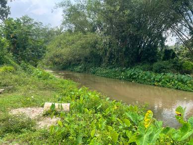 1.28 acre Agricultural Land Fruit tree Fish pond near River Pantai