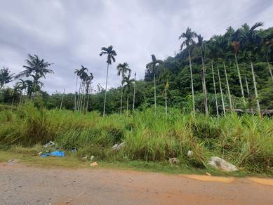 Agricultural-Land-for-sale-Lenggong-Perak