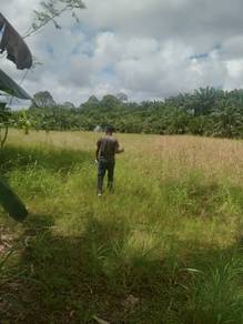 Tanah Nt Bergeran Bt16 Kg Gum-gum,Sandakan