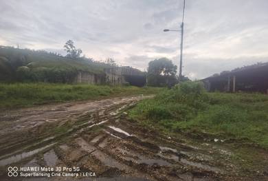 Kuang Sungai Buloh