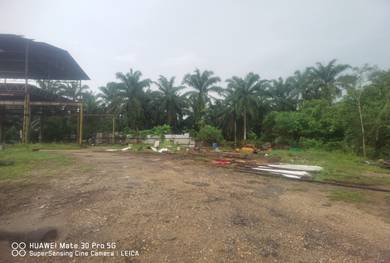 Kuang Sungai Buloh