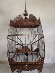 sangkar burung jambul