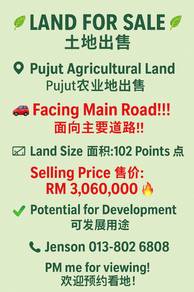 Pujut agricultural land for sale