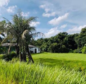 Residential-Land-for-sale-Kota-Tinggi-Johor