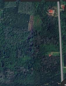 Agricultural-Land-for-sale-Lenggong-Perak