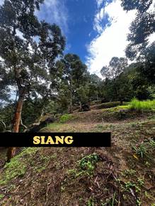 10 acres Durian Farm Beside Road Balik Pulau With Premium Durian Trees