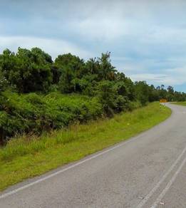 Perpetuity Mixed Zone Agriculture Land Nearby Lundu Pandan Beach