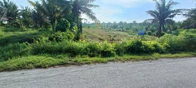 Agricultural-Land-for-sale-Sabak-Bernam-Selangor