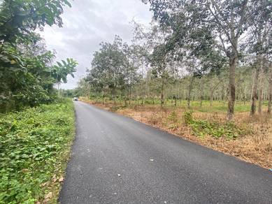 Agricultural-Land-for-sale-Kuala-Pilah-Negeri-Sembilan
