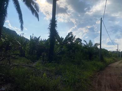 Tanah sawit tua bangas segamat johor