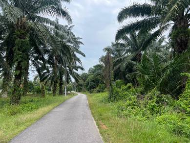 Simpang Empat Alor gajah freehold oil palm land for sale